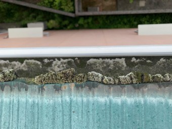 苔が繁殖しているスレート屋根の様子