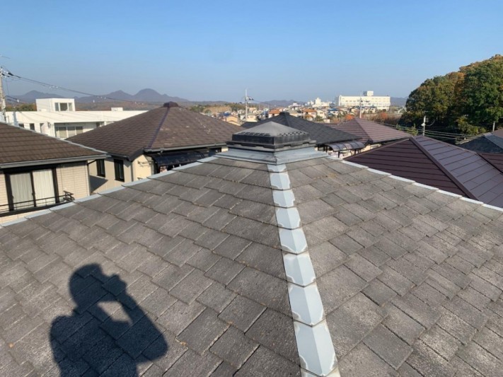 既存の屋根全体の様子
