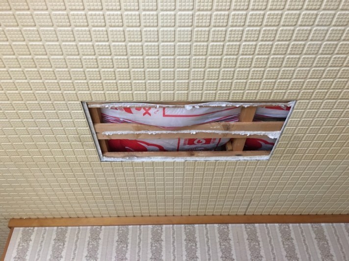 天井が剥がれ落ちている様子