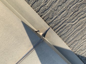 棟板金の釘が浮いている様子
