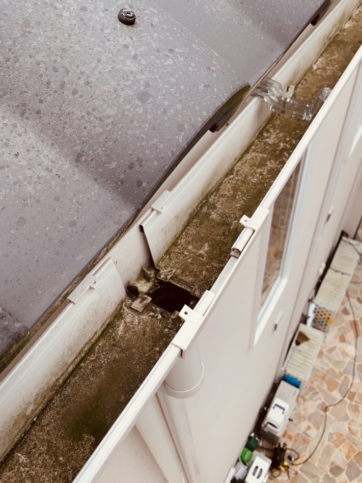 雨樋を掃除した様子