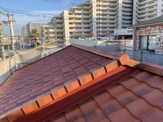 ルーガに葺き替えた様子