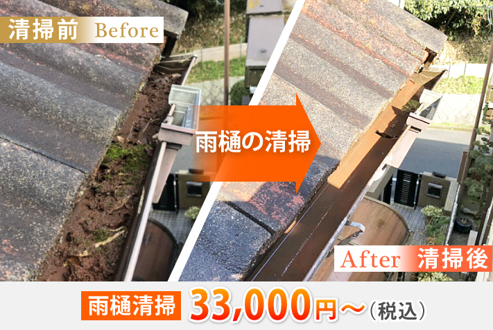 雨樋の清掃befoeとafter
