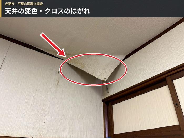 雨漏りの相談があった室内で天井の仕上げ材に剥がれと変色が見られる様子