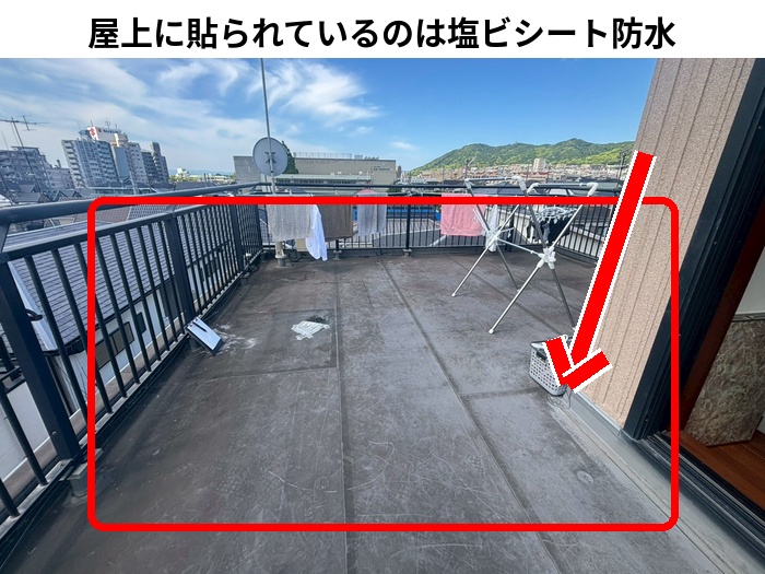 塩ビシート