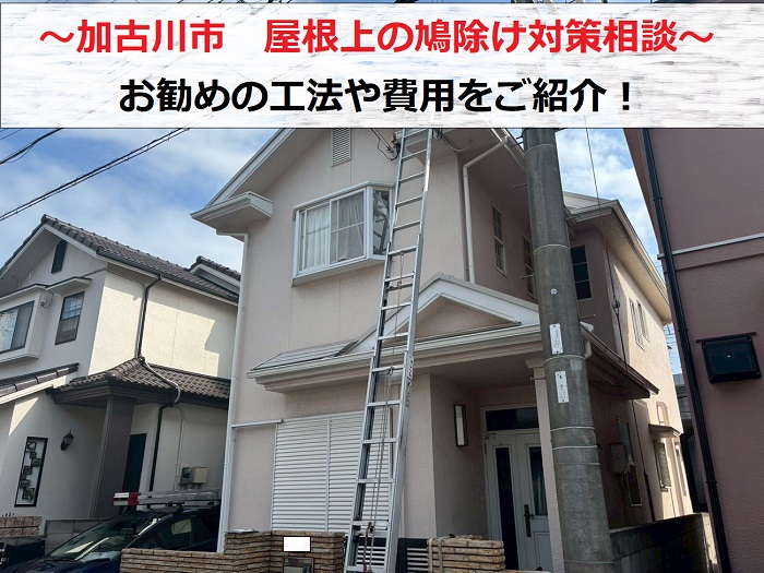 鳩除け相談を頂いた現場の様子