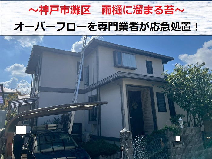 神戸市灘区　苔が溜まり雨樋からオーバーフロー！専門業者が応急処置を実施