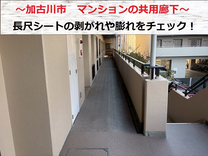 加古川市　マンション共用廊下の長尺シートを無料診断！剥がれ・膨れを確認