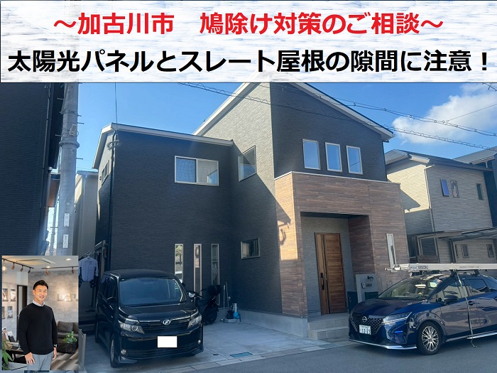 加古川市　鳩除け対策のご相談！太陽光パネル付きのスレート屋根編