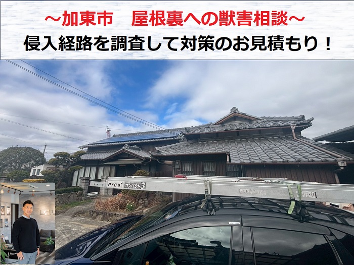 加東市　屋根裏への獣害相談！侵入経路を調査して獣害対策のお見積もり