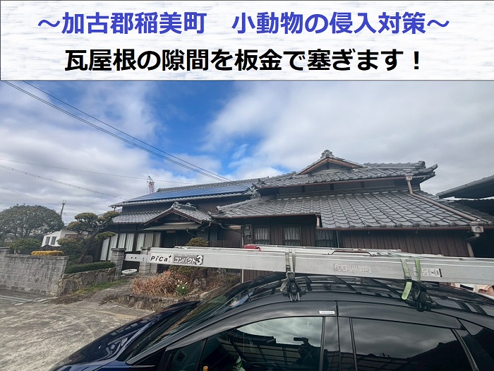 瓦屋根裏への小動物の侵入を防ぐ板金工事を行う現場の様子