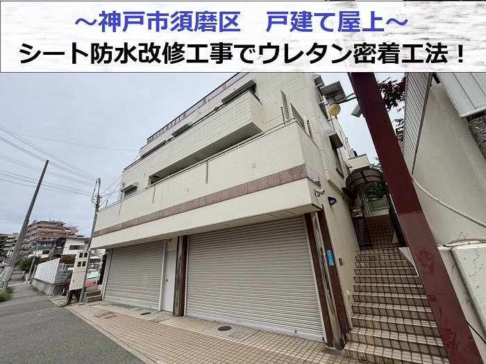戸建て屋上のシート防水改修工事でウレタン密着工法を行なう現場の様子