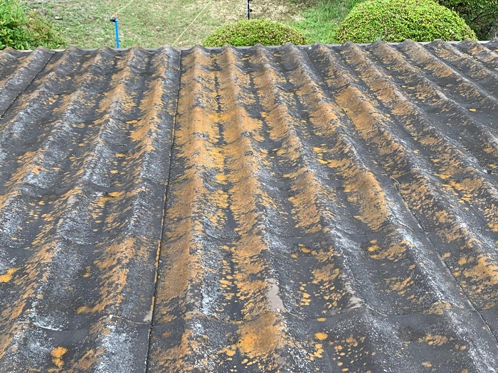 積水瓦Ｕ屋根に苔が発生している様子