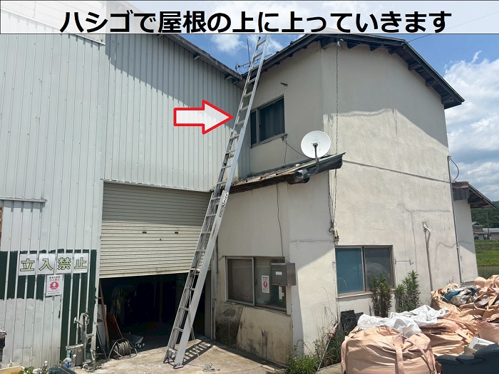 ハシゴで屋根に上っている様子