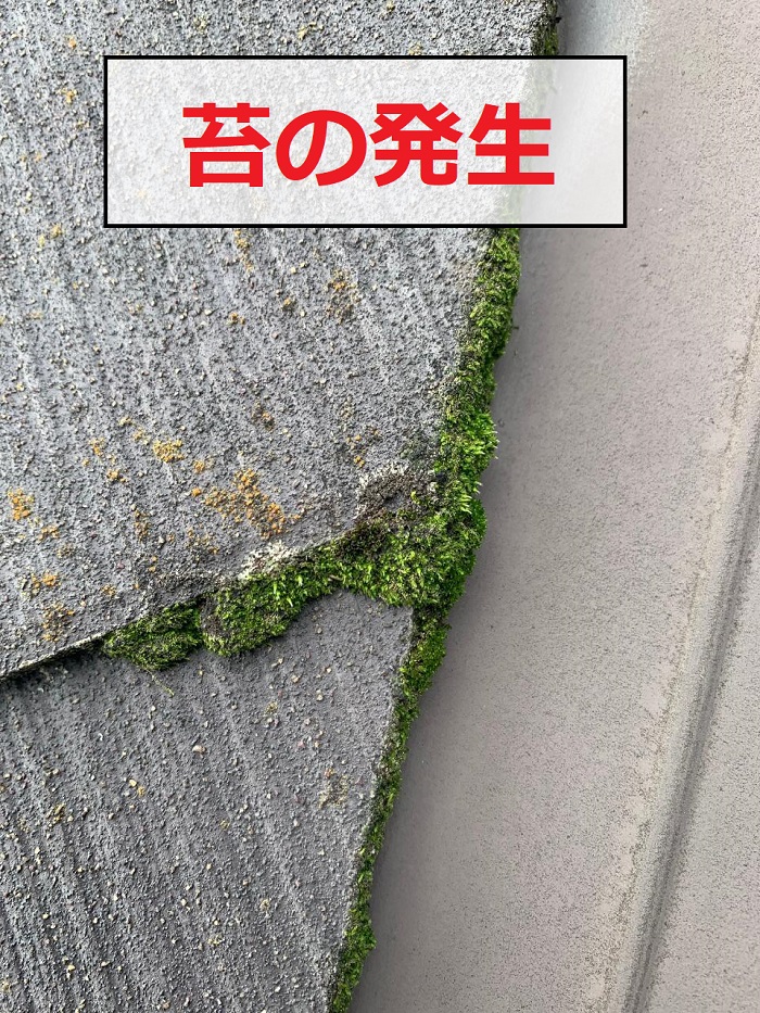 スレート屋根に発生する苔