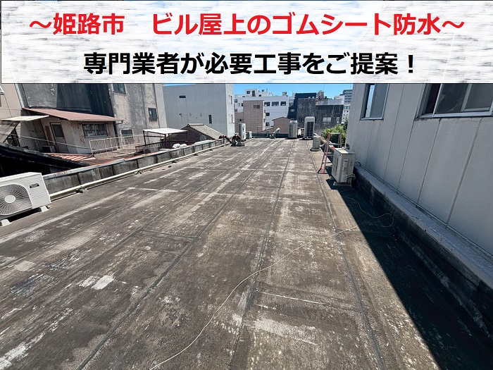 姫路市　ビル屋上のゴムシート防水を専門業者が無料点検！工事の必要性は？