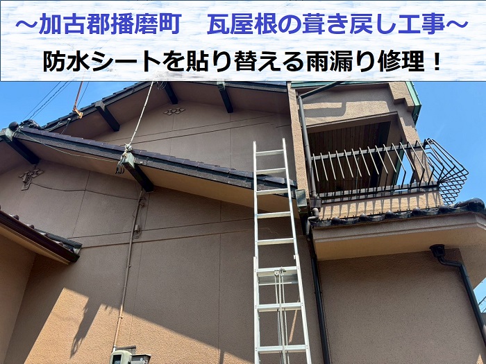 加古郡播磨町で瓦屋根の葺き直し工事で防水シートを貼り替えて雨漏り修理する現場の様子