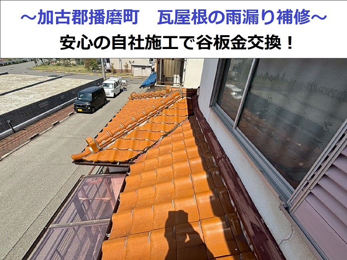 加古郡播磨町で瓦屋根の雨漏り補修として谷板金交換を行う現場の様子