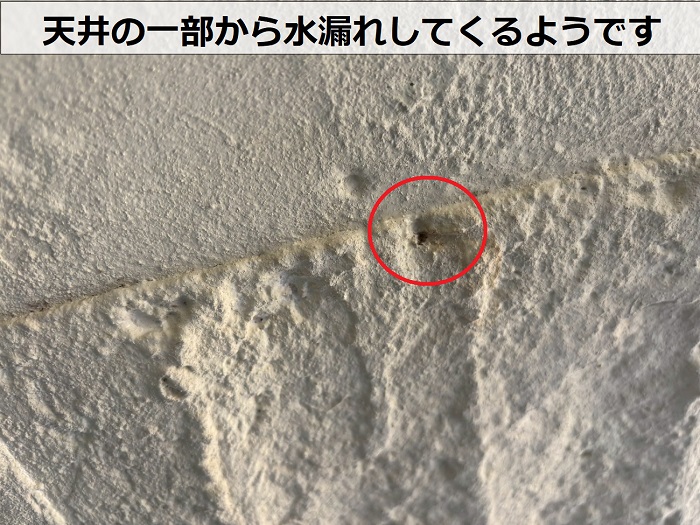 水漏れしている天井