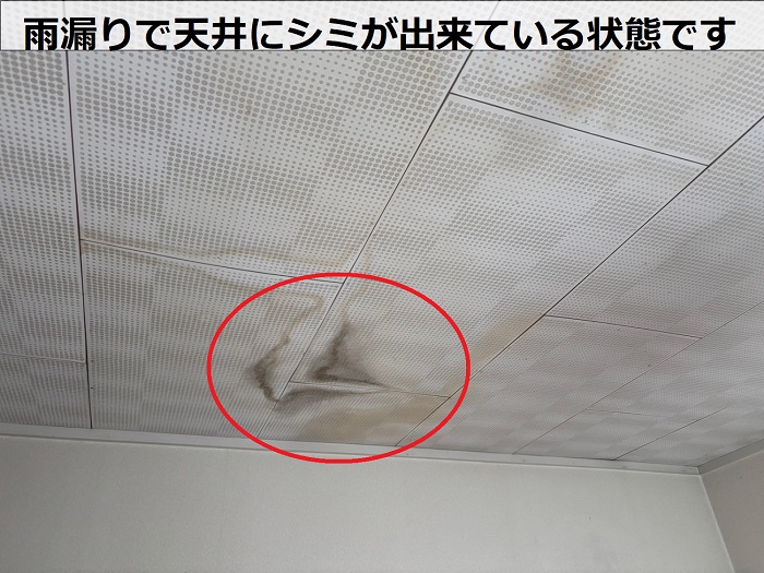 雨漏りで天井にシミが出来ている様子