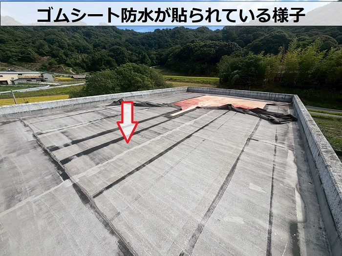 陸屋根に貼られたゴムシート防水