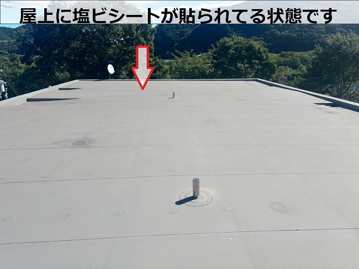 屋上に塩ビシートが貼られている様子