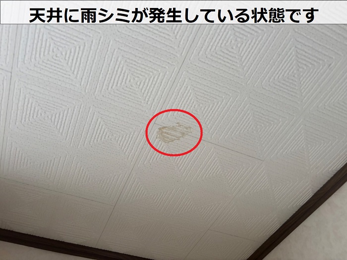 天井に雨シミが発生している様子