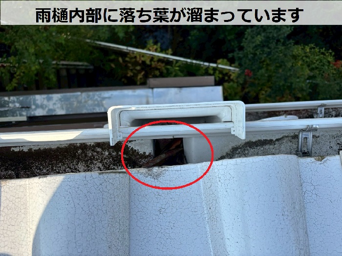 雨樋内部に溜まる落ち葉