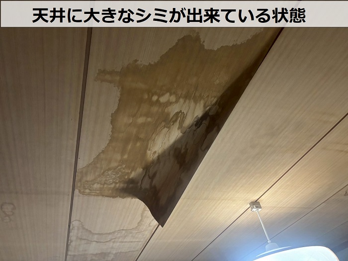 天井のシミ