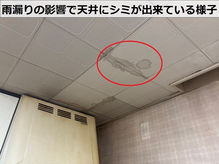 雨漏りで天井にシミが出来ている様子