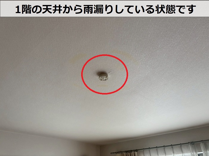 天井から雨漏りしている様子