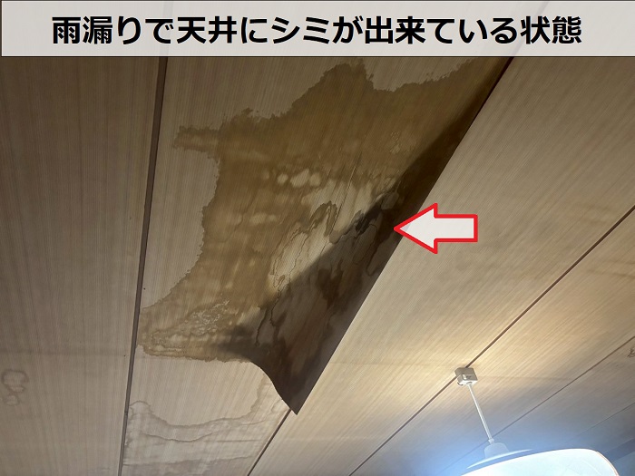 雨漏りで天井にシミが出来ている様子