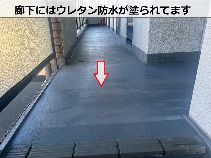 共用廊下に塗られた防水