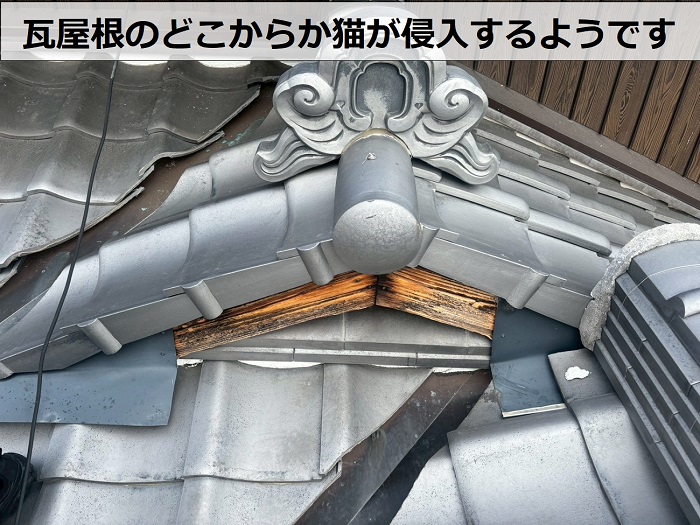瓦屋根の様子