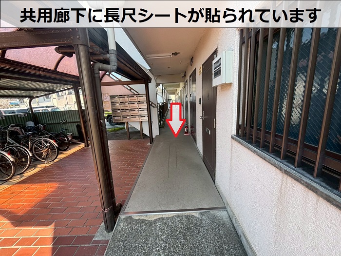 共用廊下の長尺シート