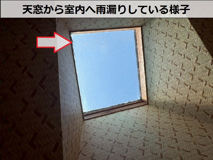 天窓から室内へ雨漏りしている様子
