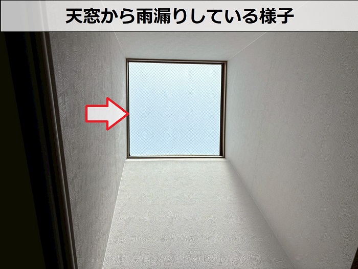 天窓から雨漏りしている様子