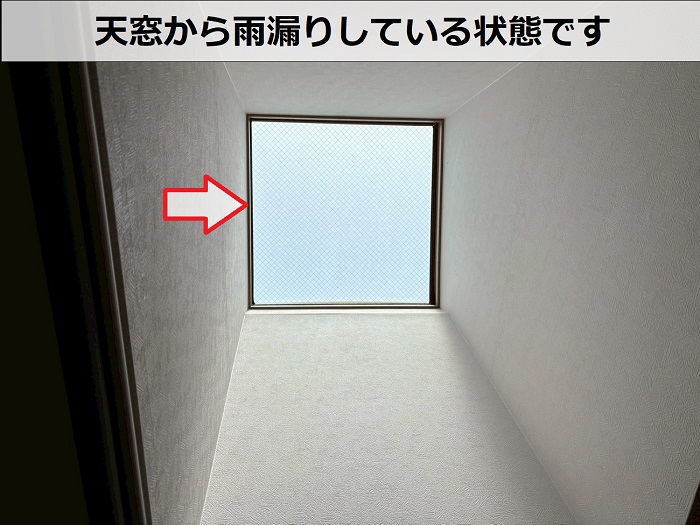 天窓から雨漏りしている様子