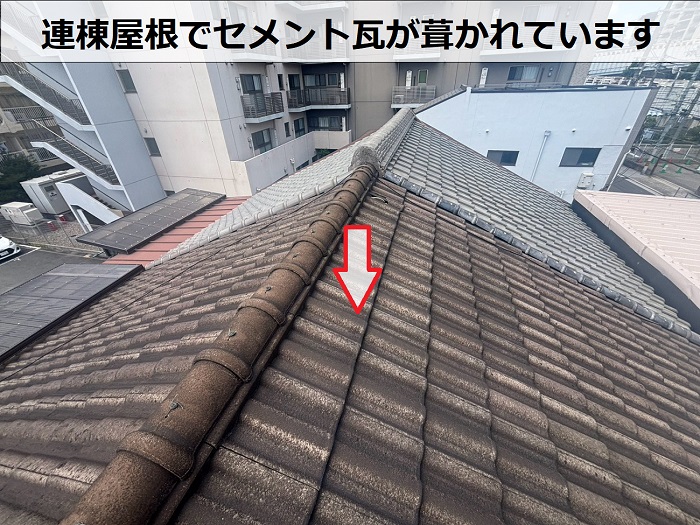 セメント瓦の様子