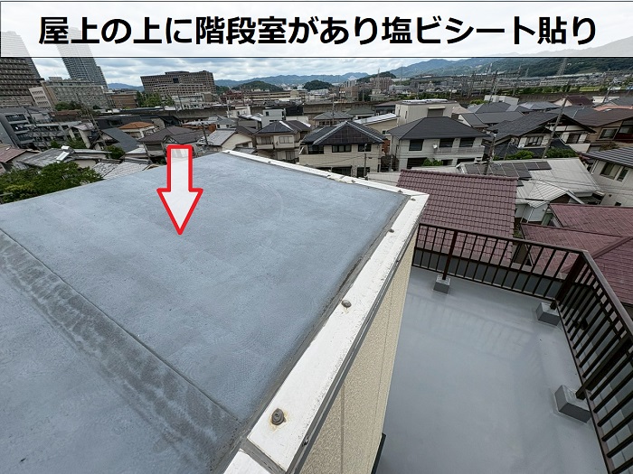 階段室屋根の塩ビシート