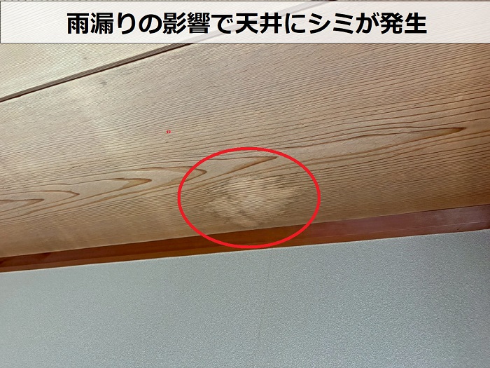 雨漏りでシミが出来た天井