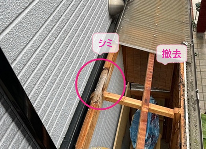 物置屋根の波板交換で既存の波板を撤去したら下地が雨漏りの影響でシミが出来てる様子