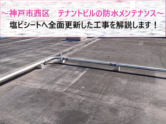 神戸市西区　テナントビルの防水メンテナンス！塩ビシートへ全面更新【サキブログ】