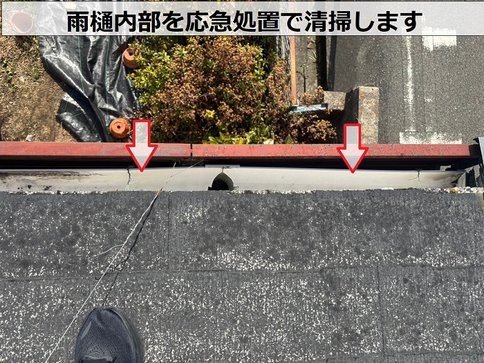 雨樋内部を応急処置で清掃