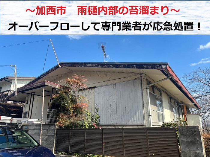 加西市　雨樋内部に苔が溜まりオーバーフロー！専門業者が応急処置
