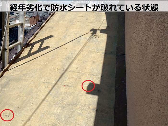 防水シートの破れ