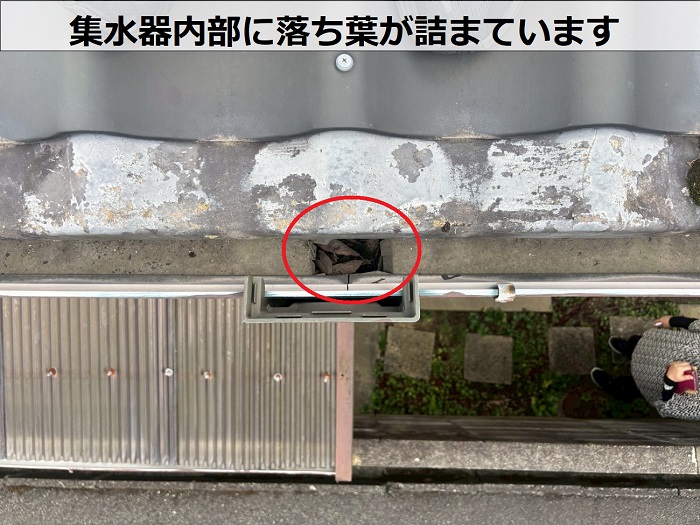 集水器内部の落ち葉の詰まり