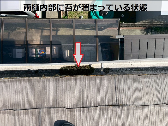 雨樋内部に溜まる苔