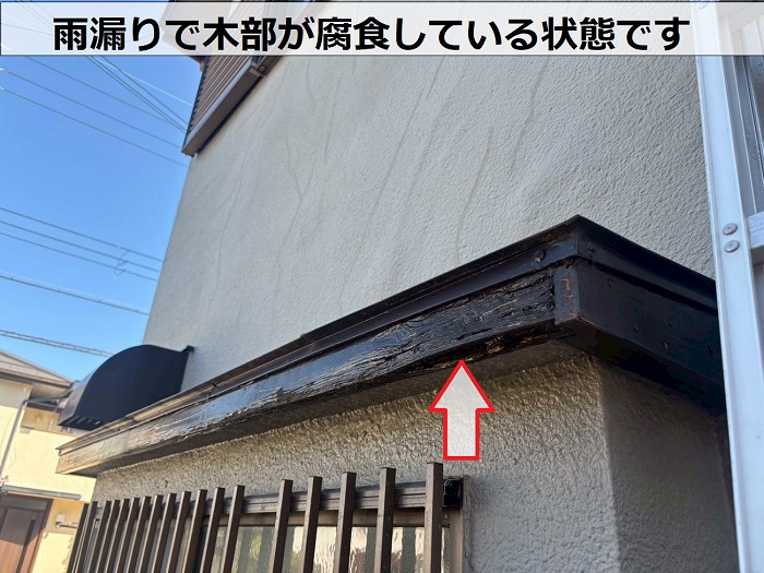 木部が腐食している様子