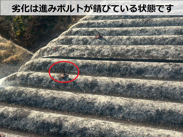 大波スレートの固定ボルトが錆びている様子